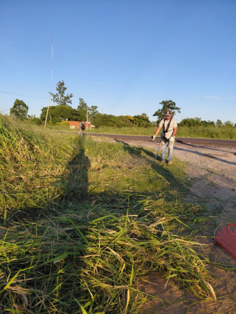 Los operativos de limpieza continúan